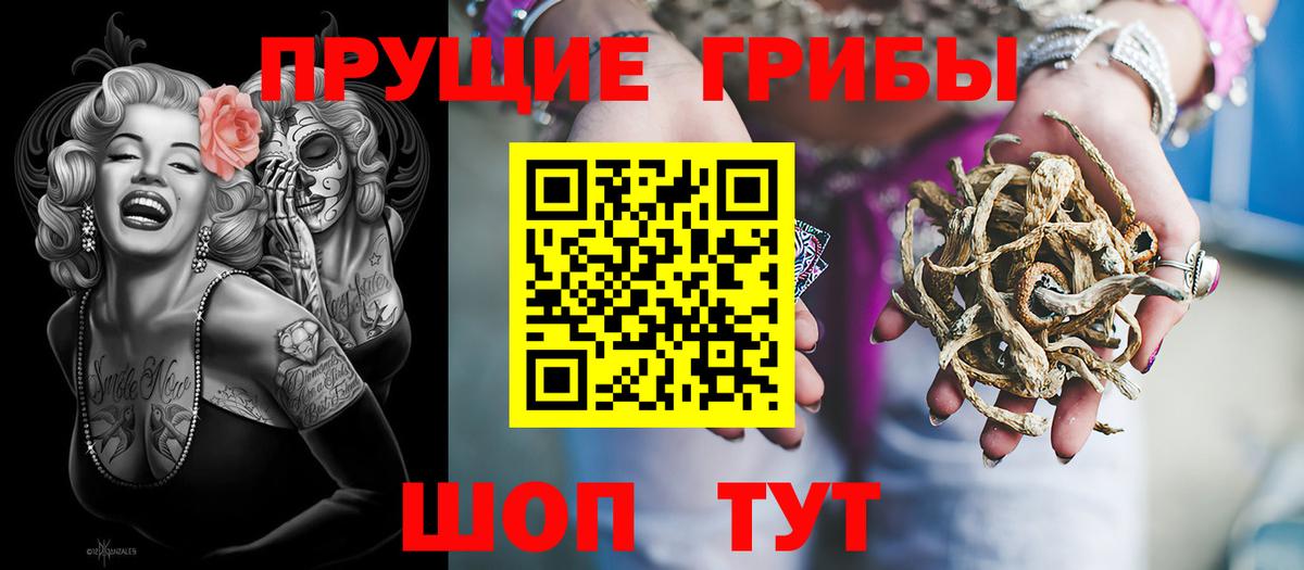 Псилоцибиновые грибы мухоморы  Вход с VPN  Псилоцибиновые грибы Cubensis  наркотики  Саранск 